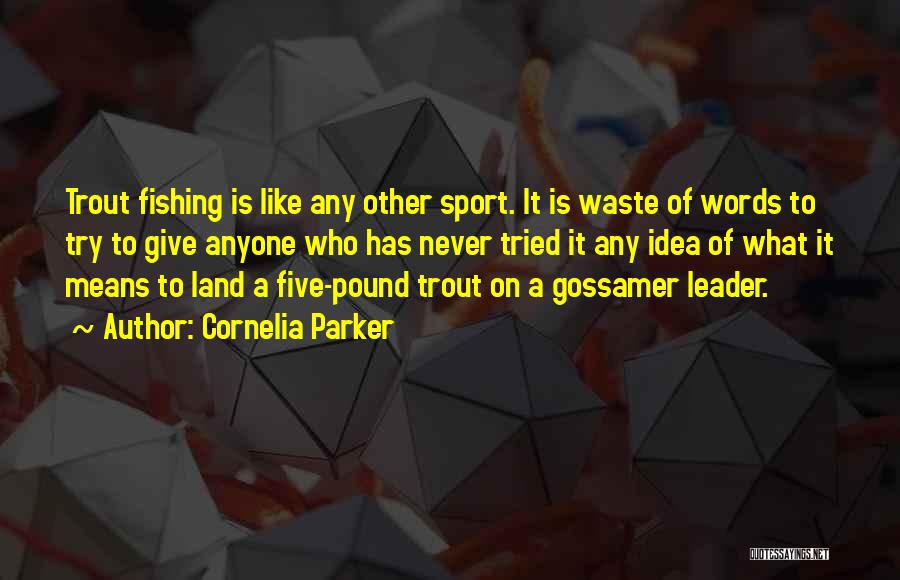 Gossamer Quotes By Cornelia Parker