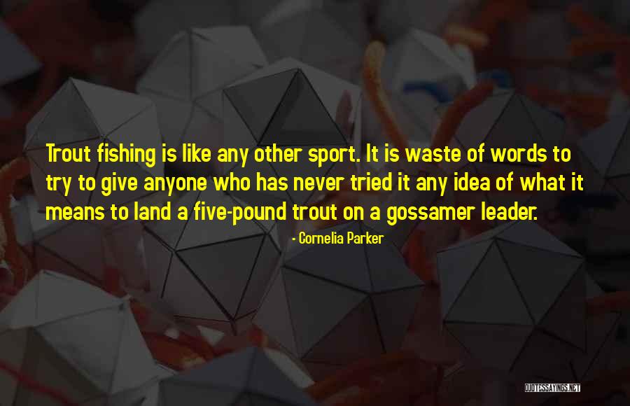 Gossamer Quotes By Cornelia Parker Gossamer Quotes By Cornelia Parker