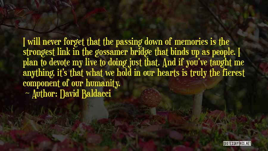 Gossamer Quotes By David Baldacci