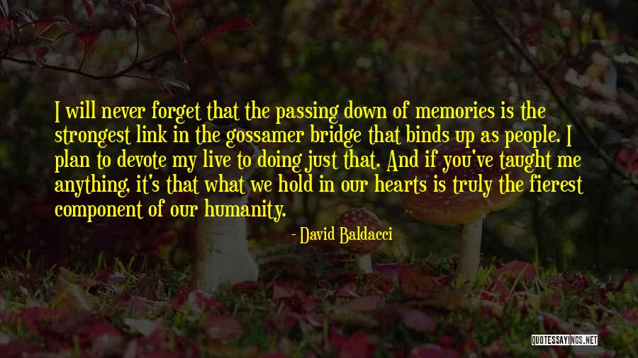 Gossamer Quotes By David Baldacci