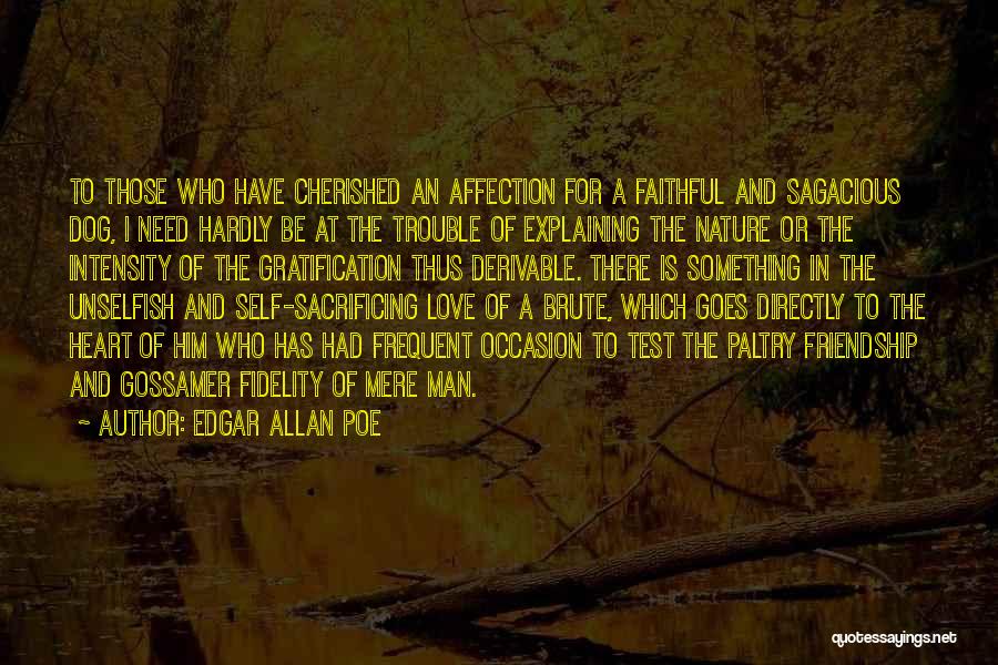 Gossamer Quotes By Edgar Allan Poe