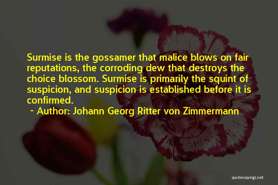 Gossamer Quotes By Johann Georg Ritter Von Zimmermann