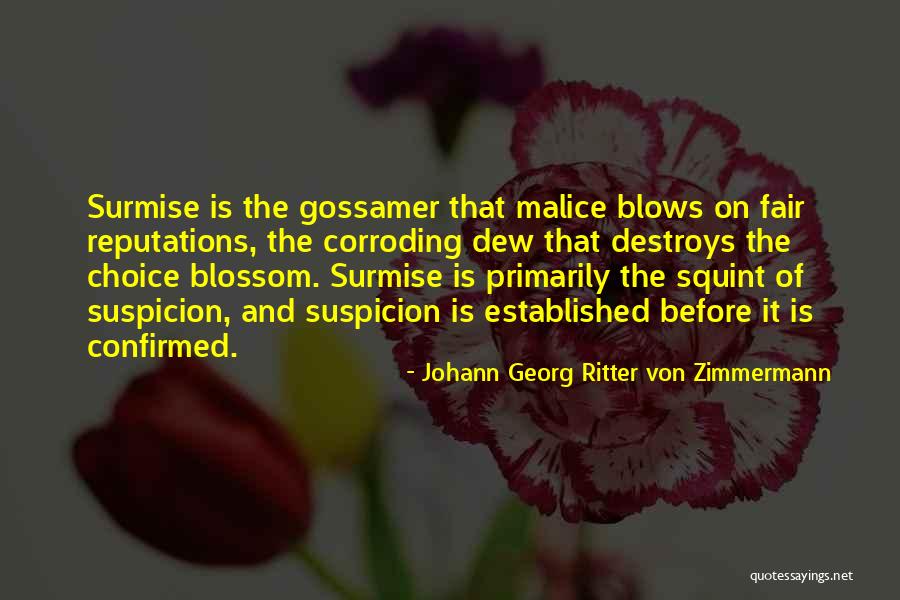 Gossamer Quotes By Johann Georg Ritter Von Zimmermann