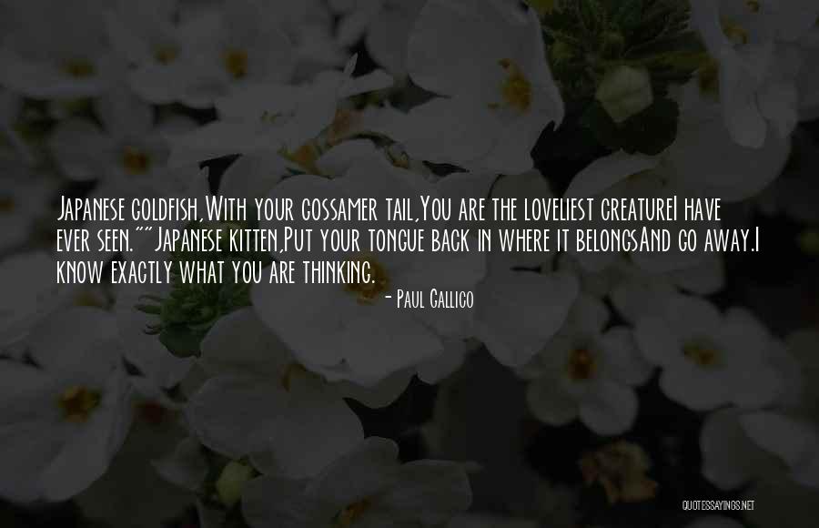 Gossamer Quotes By Paul Gallico Gossamer Quotes By Paul Gallico