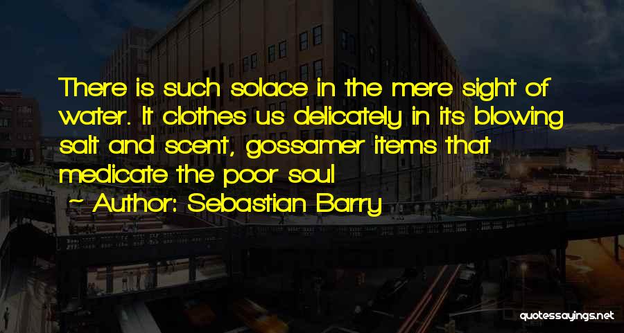 Gossamer Quotes By Sebastian Barry