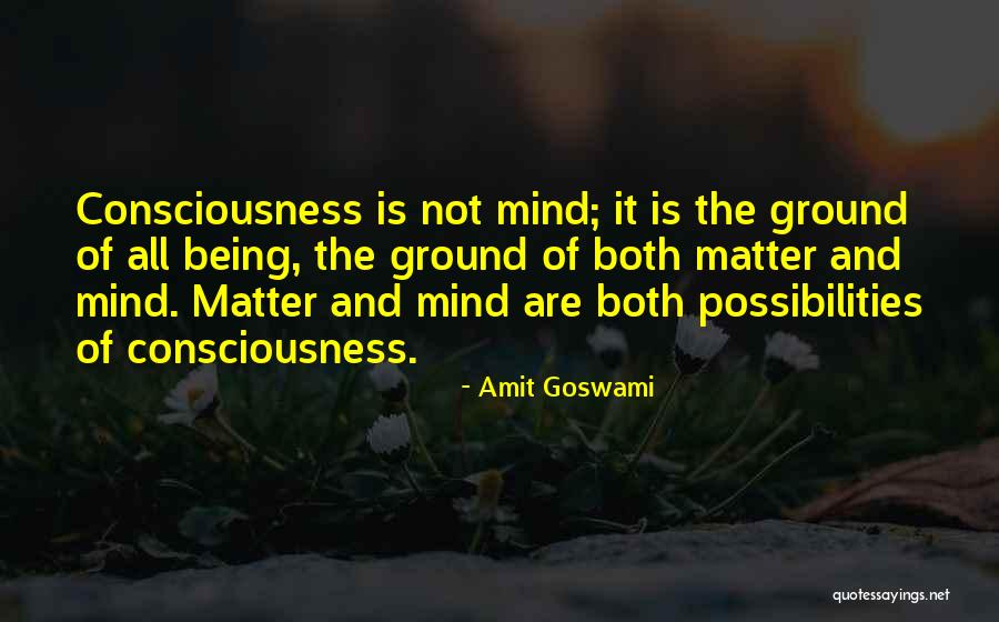 Goswami Quotes By Amit Goswami Goswami Quotes By Amit Goswami