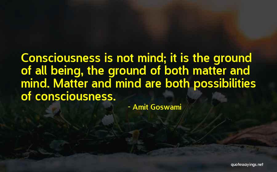 Goswami Quotes By Amit Goswami