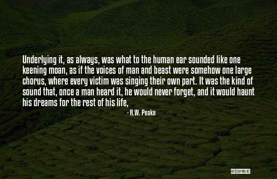 Gosynth Quotes By R.W. Peake Gosynth Quotes By R.W. Peake
