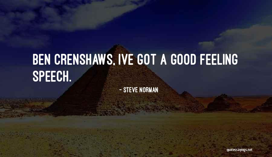 Got A Good Feeling Quotes By Steve Norman