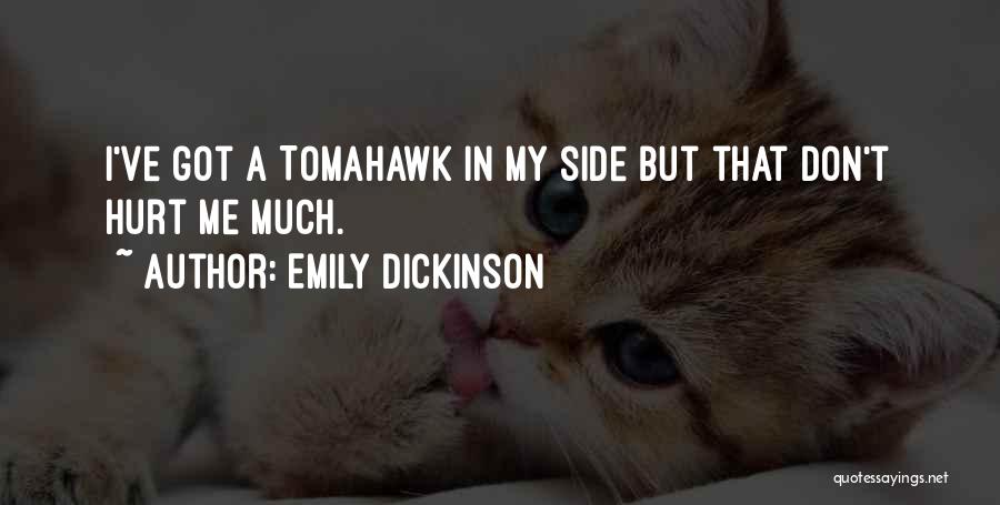 Got Hurt Quotes By Emily Dickinson