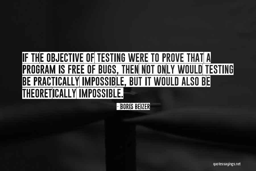 Got Something To Prove Quotes By Boris Beizer