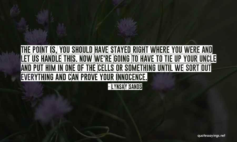 Got Something To Prove Quotes By Lynsay Sands