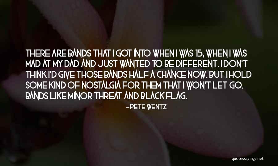 Got To Let Go Quotes By Pete Wentz