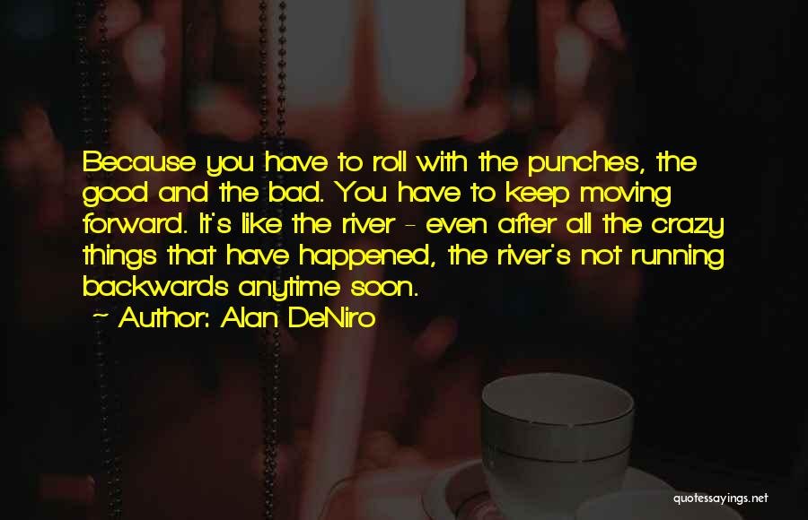 Got To Roll With The Punches Quotes By Alan DeNiro