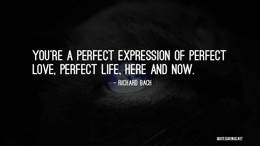 Gotchas Mean Quotes By Richard Bach Gotchas Mean Quotes By Richard Bach