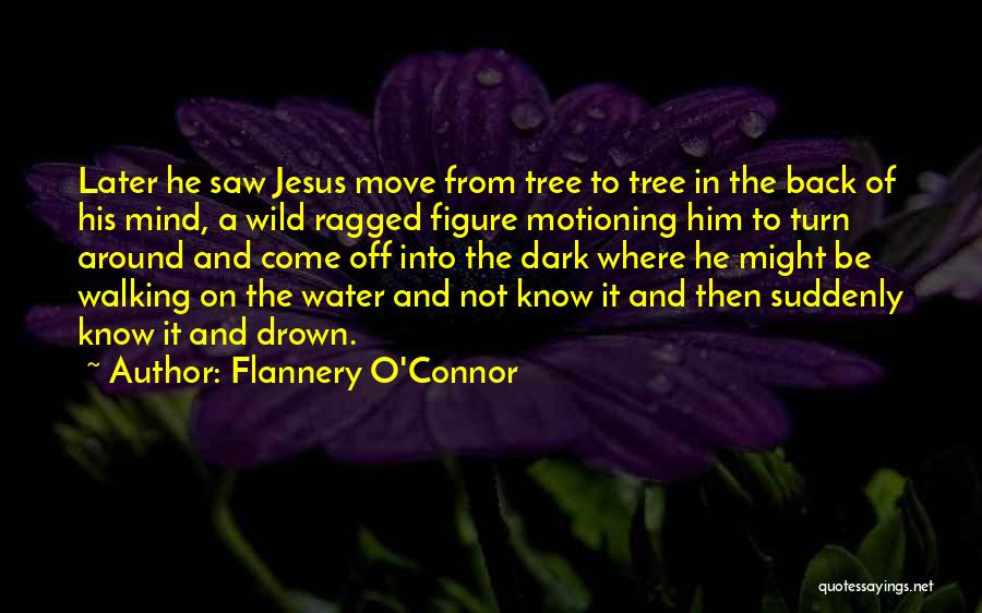 Gothic Quotes By Flannery O'Connor