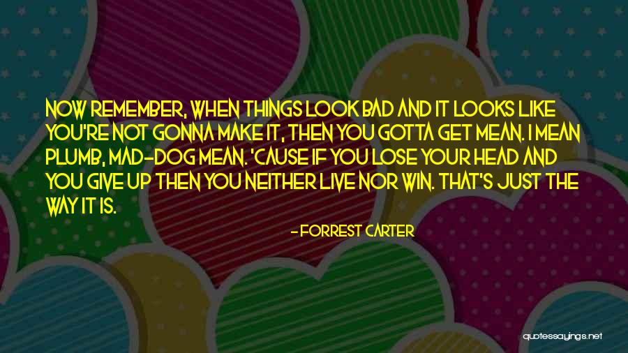 Gotta Get Up Quotes By Forrest Carter Gotta Get Up Quotes By Forrest Carter