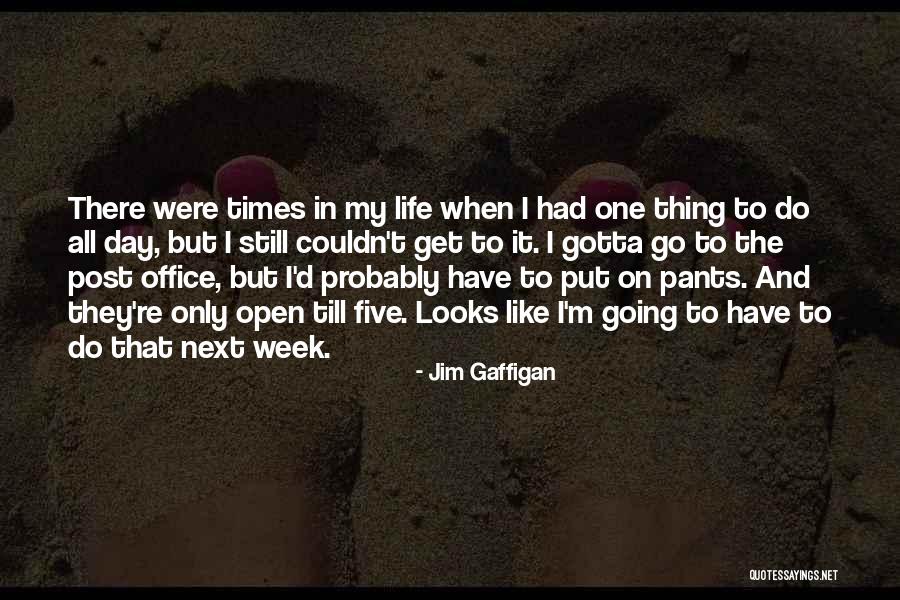 Gotta Go Get It Quotes By Jim Gaffigan