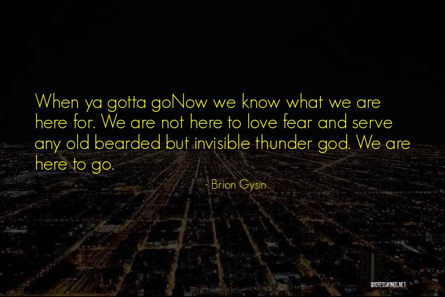 Gotta Love Quotes By Brion Gysin