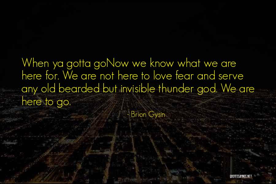 Gotta Love Quotes By Brion Gysin