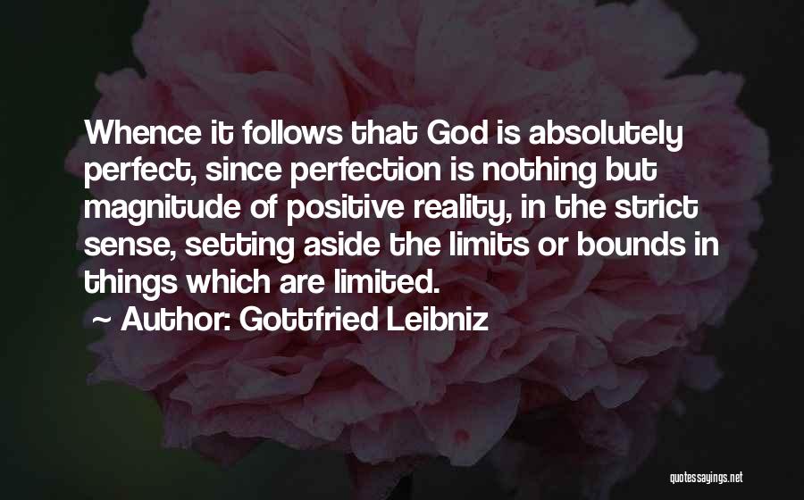 Gottfried Leibniz Quotes 557518