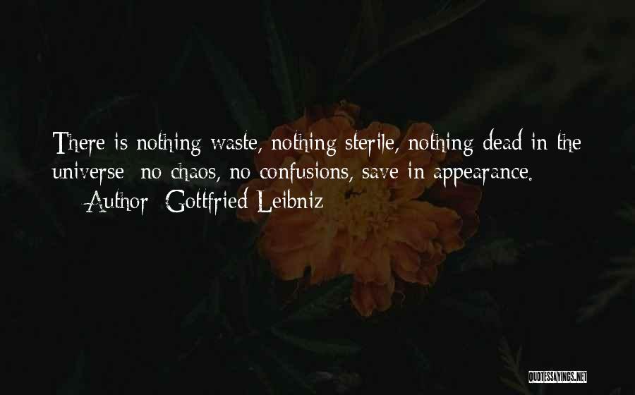 Gottfried Leibniz Quotes 823140