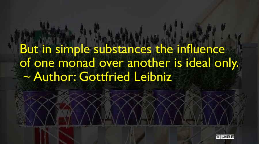 Gottfried Leibniz Quotes 87731
