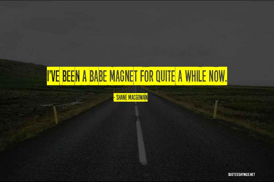 Gotthard Hotel Quotes By Shane MacGowan Gotthard Hotel Quotes By Shane MacGowan