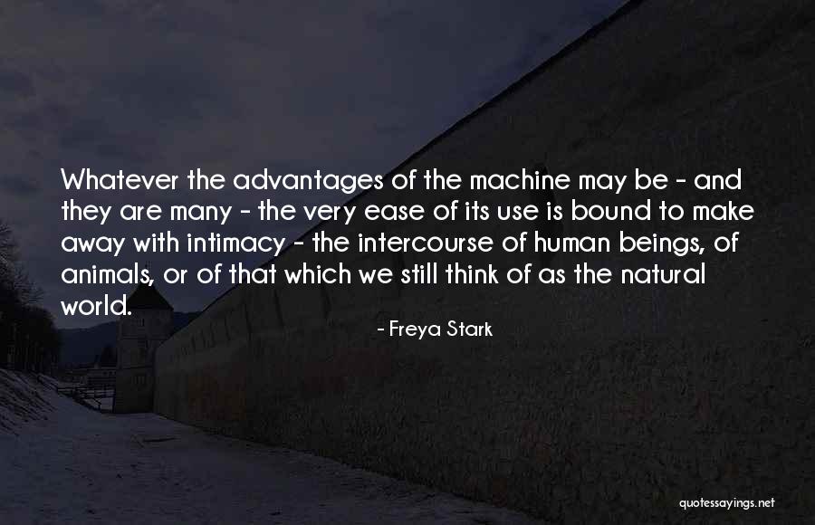 Gottiline Romeo Quotes By Freya Stark Gottiline Romeo Quotes By Freya Stark