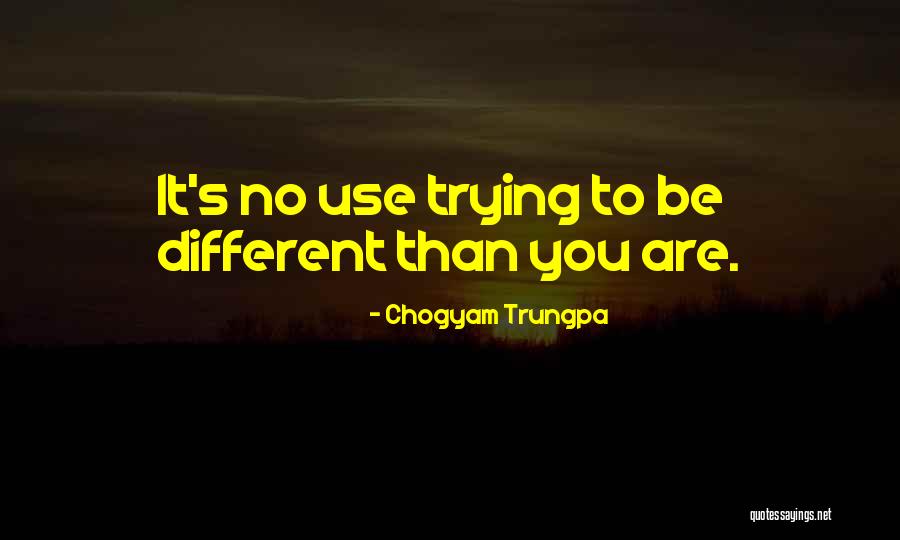 Goudron Blanc Quotes By Chogyam Trungpa Goudron Blanc Quotes By Chogyam Trungpa