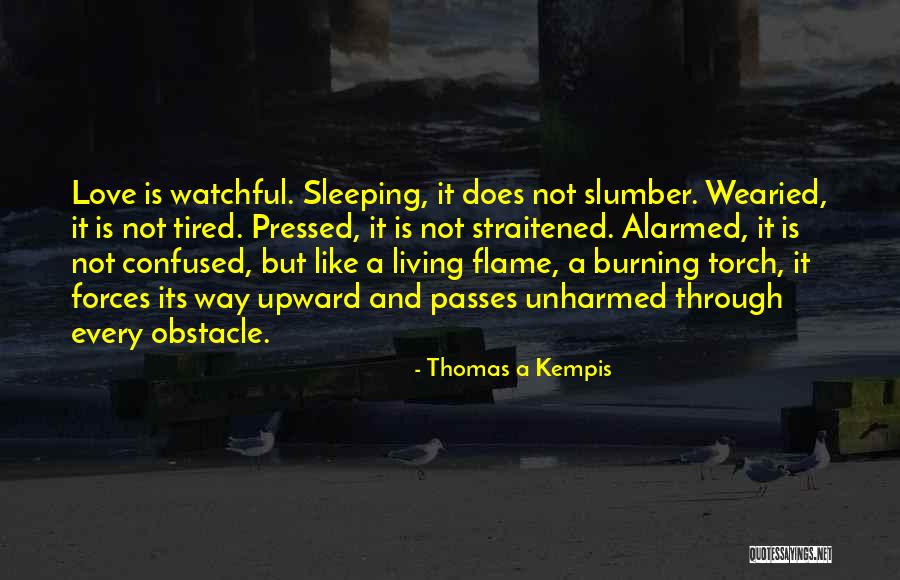 Gouged Wood Quotes By Thomas A Kempis Gouged Wood Quotes By Thomas A Kempis