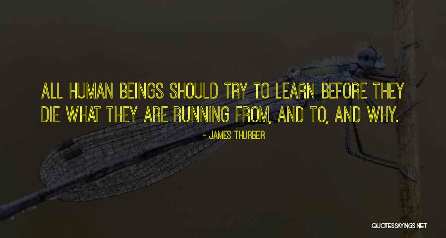 Goulash Recipes Quotes By James Thurber Goulash Recipes Quotes By James Thurber