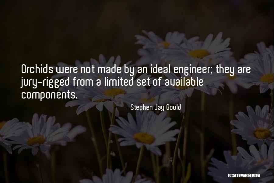 Gould Quotes By Stephen Jay Gould Gould Quotes By Stephen Jay Gould