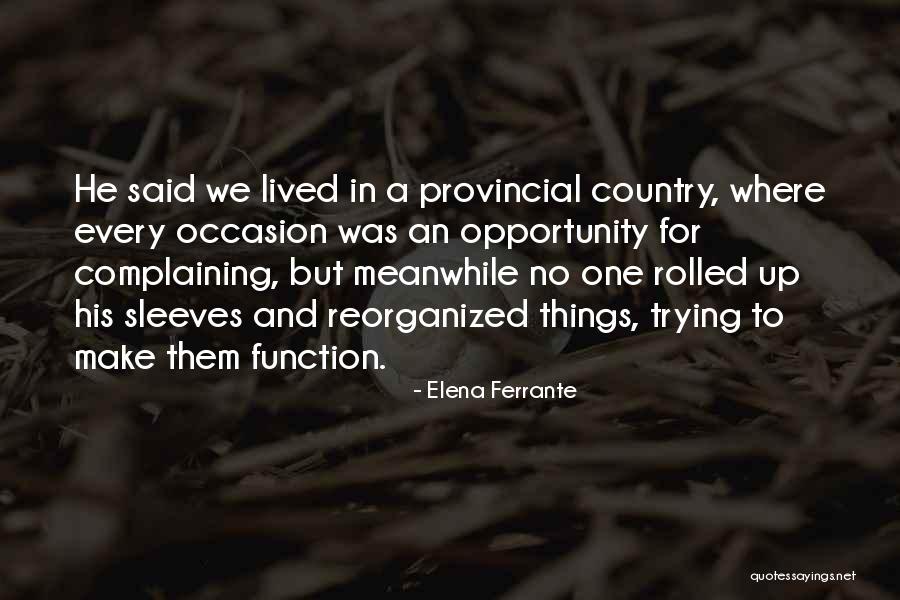 Goult Quotes By Elena Ferrante Goult Quotes By Elena Ferrante
