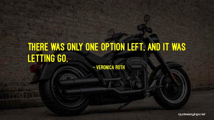 Gourguechon Quotes By Veronica Roth Gourguechon Quotes By Veronica Roth