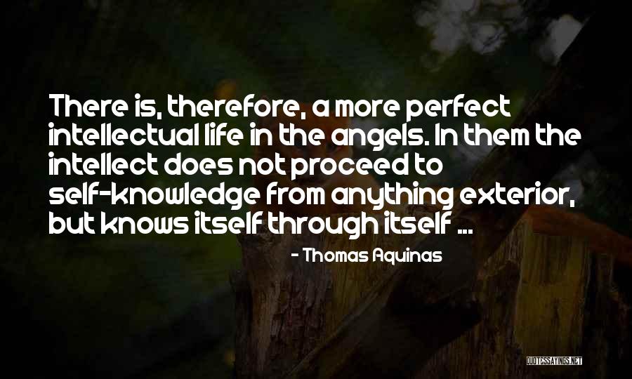 Goutte Deau Quotes By Thomas Aquinas Goutte Deau Quotes By Thomas Aquinas