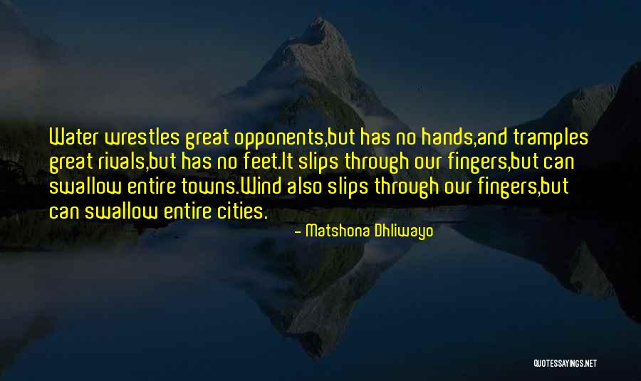 Governeth Quotes By Matshona Dhliwayo Governeth Quotes By Matshona Dhliwayo