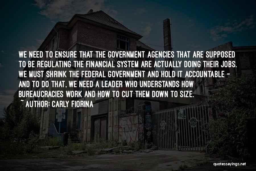 Government Agencies Quotes By Carly Fiorina