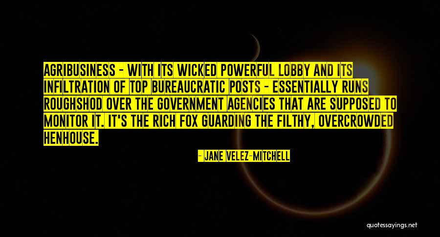 Government Agencies Quotes By Jane Velez-Mitchell Government Agencies Quotes By Jane Velez-Mitchell