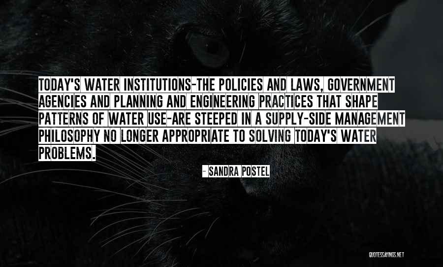 Government Agencies Quotes By Sandra Postel