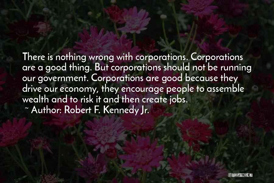 Government And Economy Quotes By Robert F. Kennedy Jr.