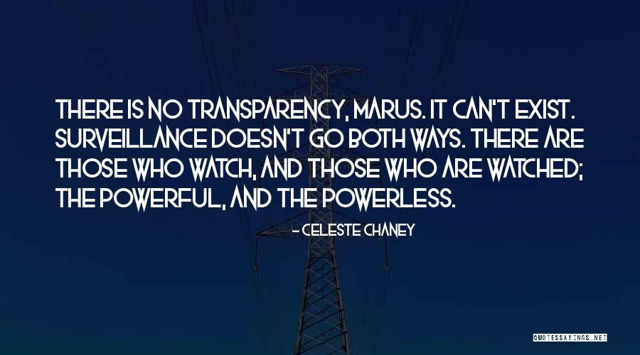 Government And Privacy Quotes By Celeste Chaney