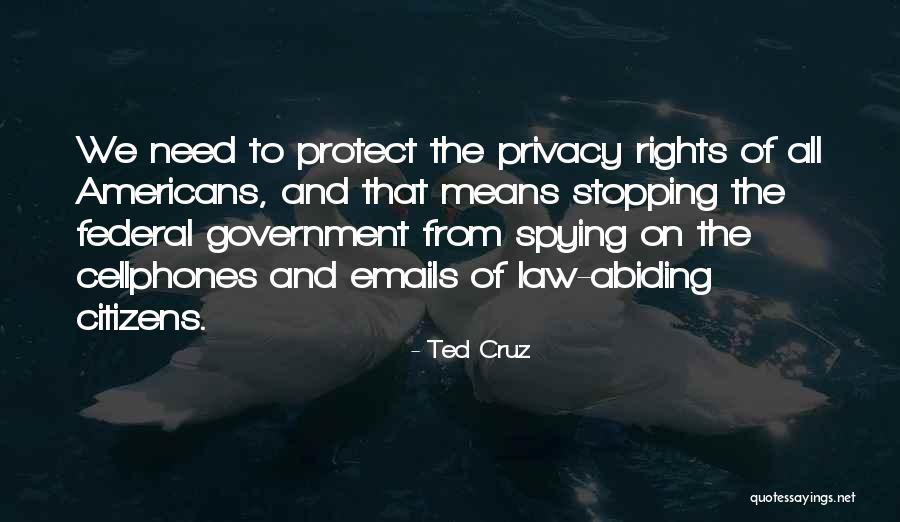 Government And Privacy Quotes By Ted Cruz