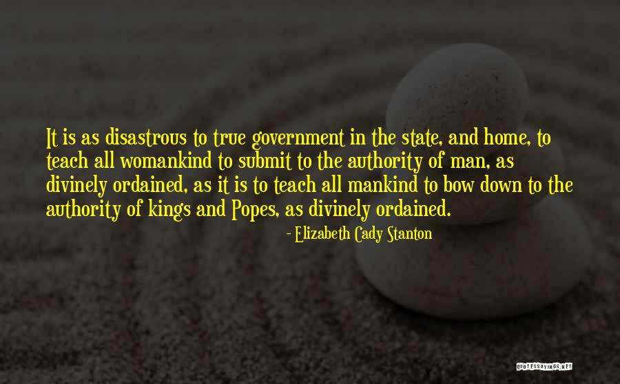 Government And State Quotes By Elizabeth Cady Stanton Government And State Quotes By Elizabeth Cady Stanton