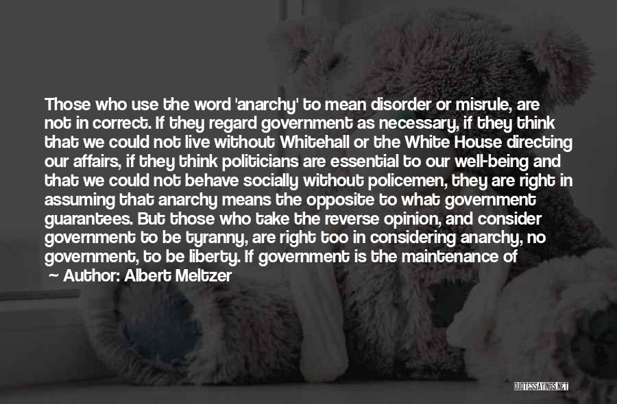 Government And Tyranny Quotes By Albert Meltzer