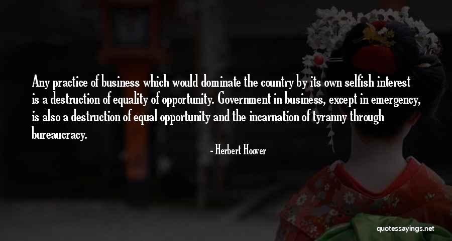 Government And Tyranny Quotes By Herbert Hoover