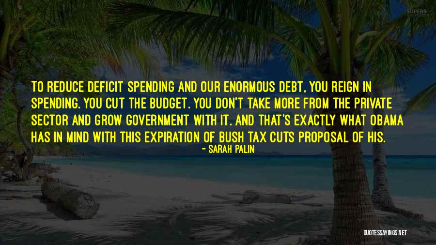 Government Cuts Quotes By Sarah Palin