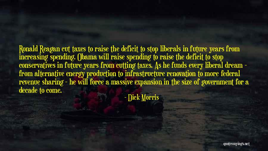 Government Deficit Quotes By Dick Morris