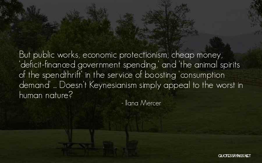 Government Deficit Quotes By Ilana Mercer