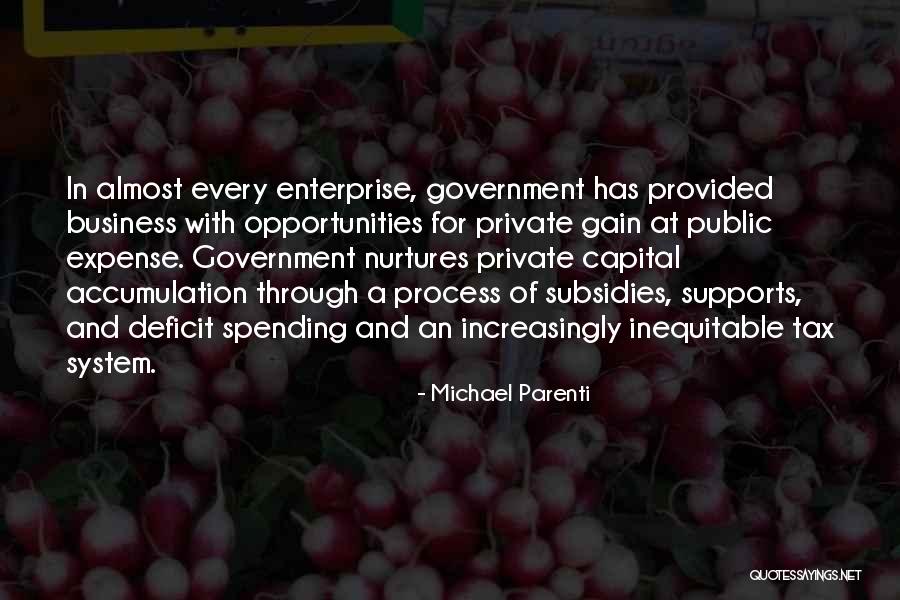 Government Deficit Quotes By Michael Parenti